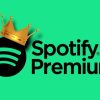 Nâng cấp Spotify Premium hàng chính chủ