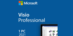 Visio Professional 2010 , 2013, 2016, 2019, 2021