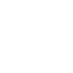 icon c 01