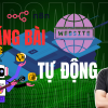 dang bai website tu dong